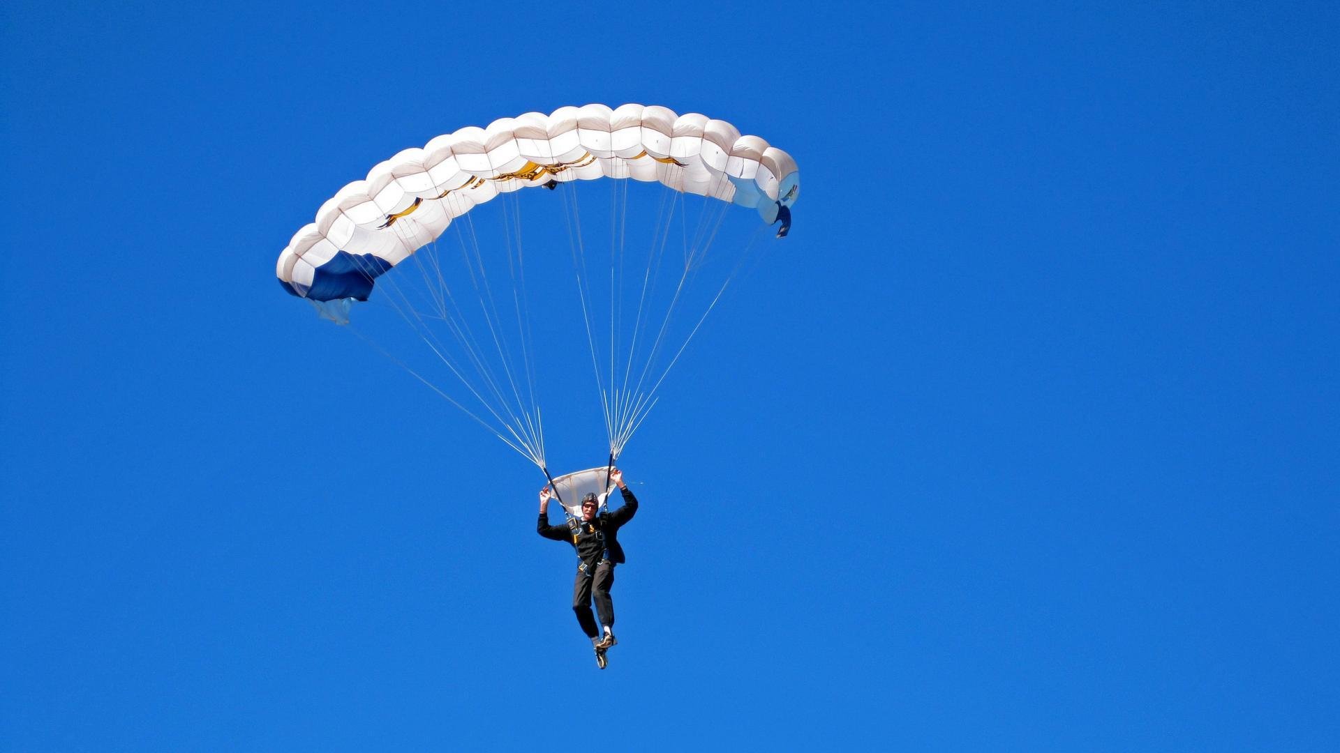 “罕见奇观：场上场下令人难以置信的趣味”，场上什么意思